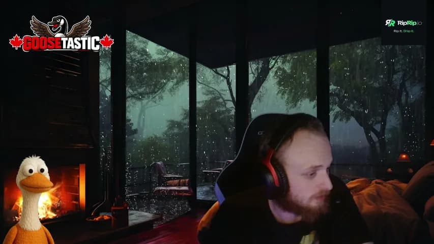 canadian_goose902's stream