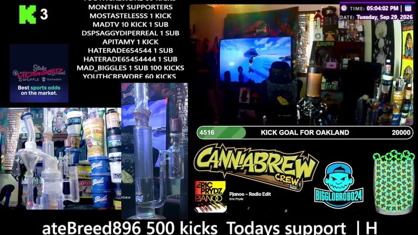 bigglobrob024's stream