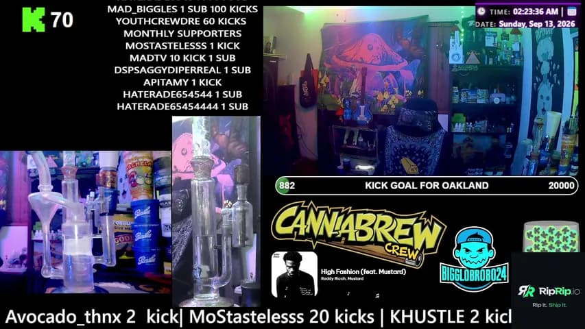 bigglobrob024's stream