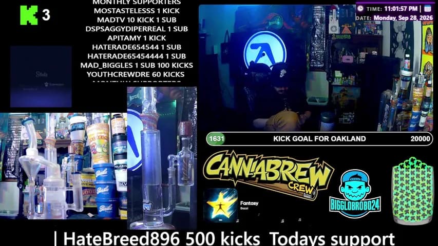 bigglobrob024's stream
