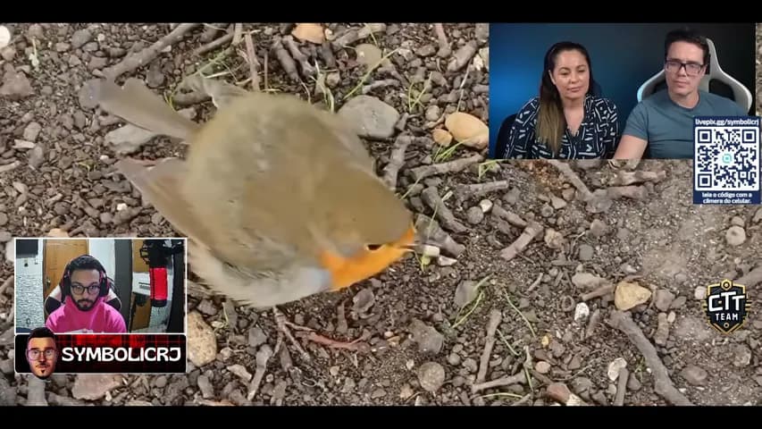 symbolicrj's stream