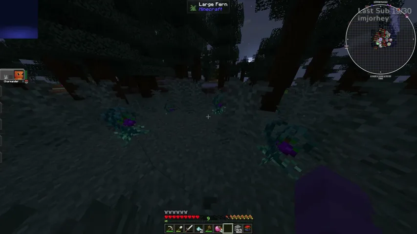 ChasRP's stream
