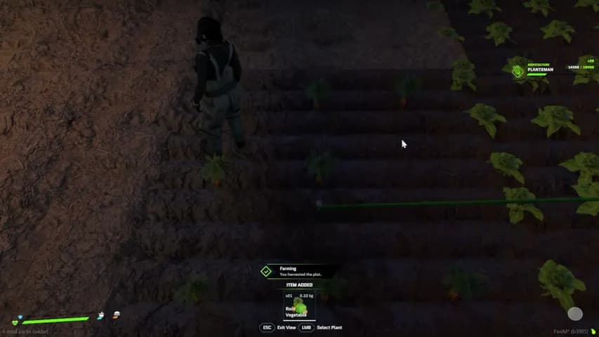 itslaurabear's stream