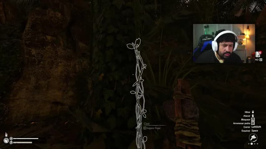 wesleystohn's stream
