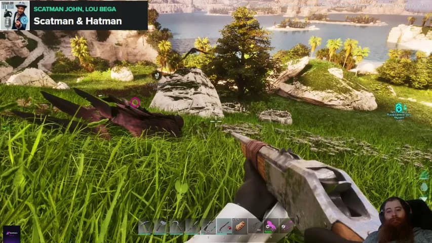 Beardquests's stream