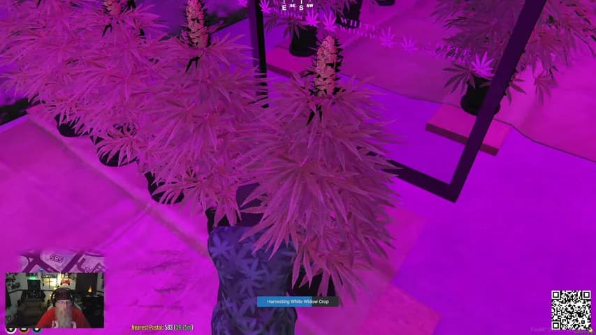 RagingGeezer's stream