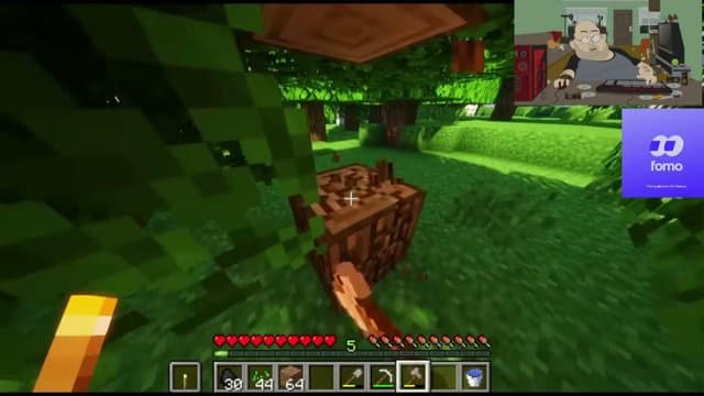 sewi's stream