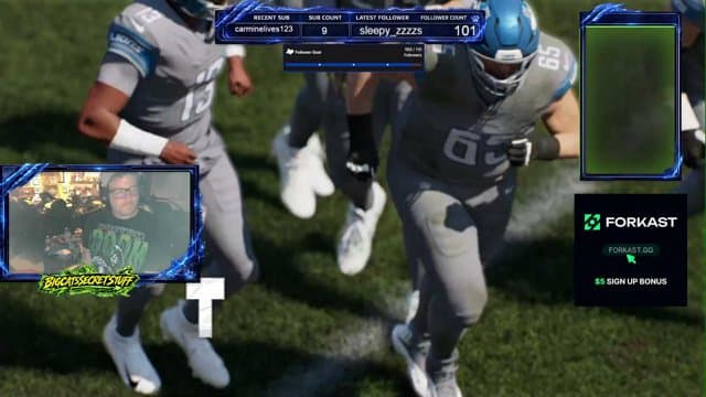 TheBigCat888's stream
