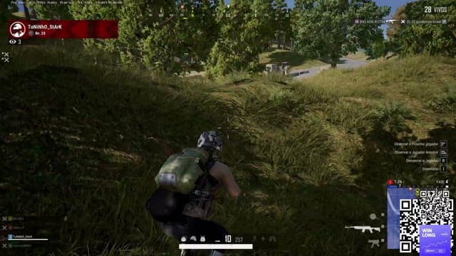 Krebimm's stream