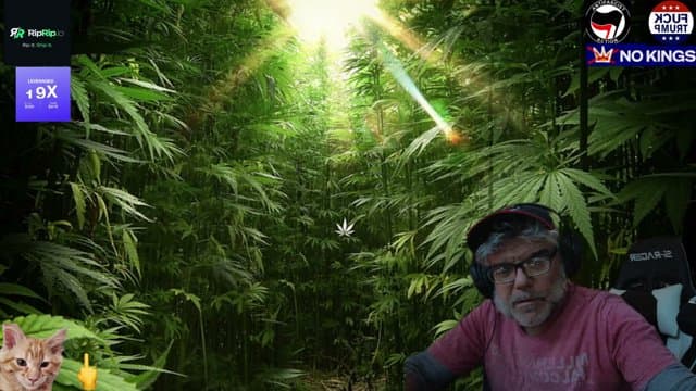 mystic247's stream